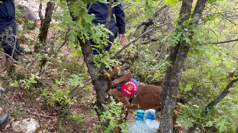 Son Dakika: Definecilerin feci sonu! Bursa İznik'teki mağarada ölü bulundular - Resim: 5