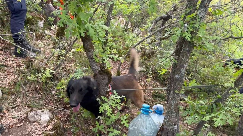 Son Dakika: Definecilerin feci sonu! Bursa İznik'teki mağarada ölü bulundular - Resim: 3