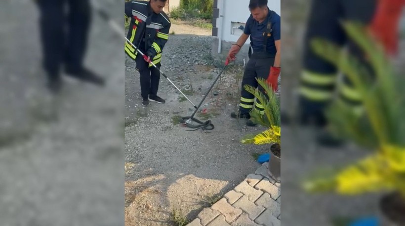 İtfaiye eri, yakaladığı yılana su içirdi - Resim: 4