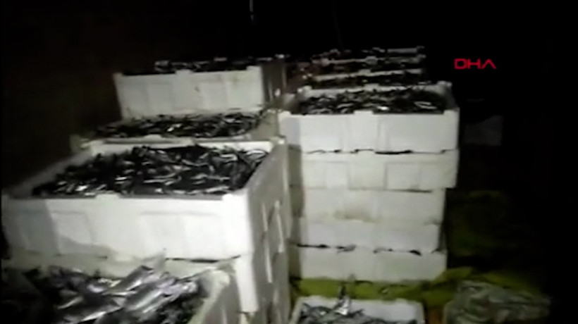 İstanbul'da küçük boy lüfer ve istavrit avcılarına ceza