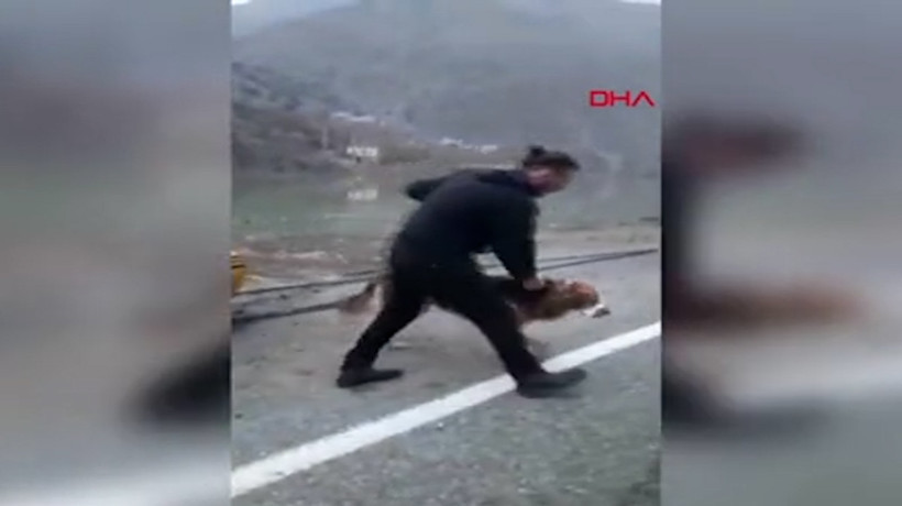 Suların yükseldiği Yusufeli'nde mahsur kalan köpek, botla kurtarıldı
