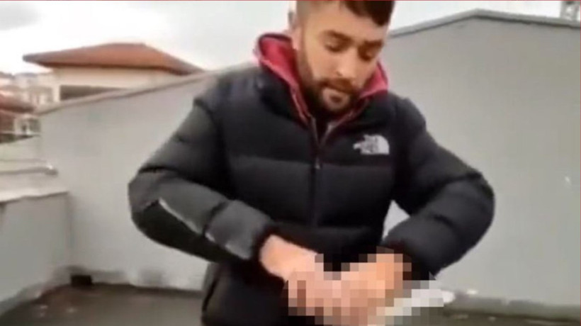 Ankara'da kan donduran görüntü: Güvercini başını koparıp öldüren adama para cezası verildi