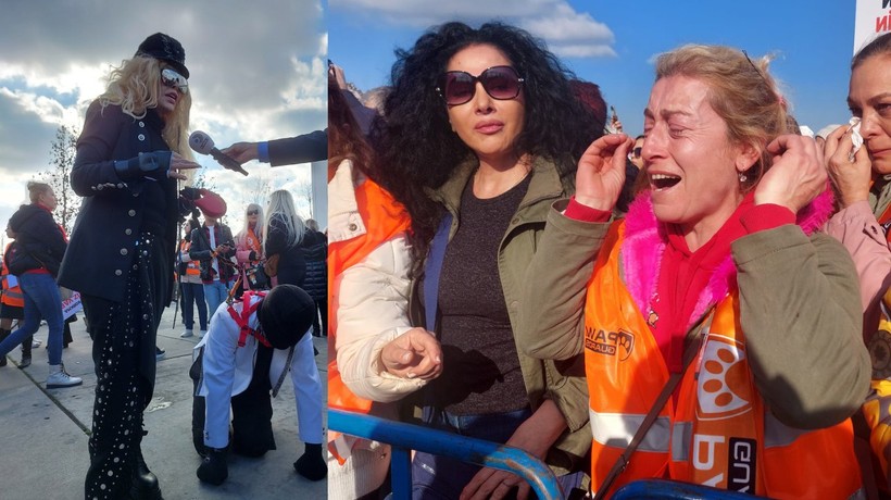 Hayvanseverler Yenikapı'da hayvan hakları mitingi düzenledi! Bir hayvanseverin köpek olması çok konuşuldu