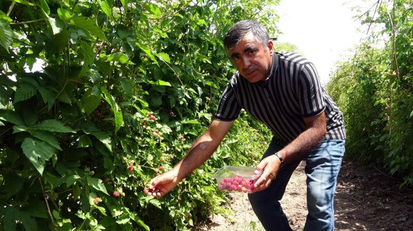 Kansere şekere deva! Hobi diye başladı, kilosunu 80 TL'den satıyor