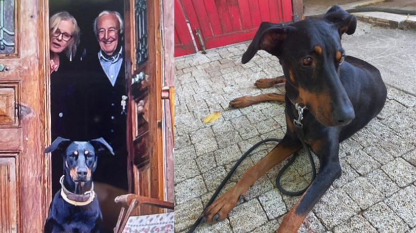 Balıkesir'de 74 gün önce kaybolan Korhan Berzeg'in köpeği Tina geri döndü! Berzeg'i köpeği Tina arayacak