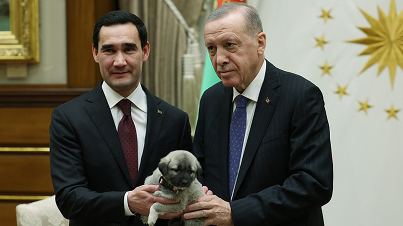 Cumhurbaşkanı Erdoğan'ın köpek hediyesi gündem oldu! Liderlerin köpek hediye etmesi ne anlama geliyor? Türk tarihinde ilk adım kimden geldi?