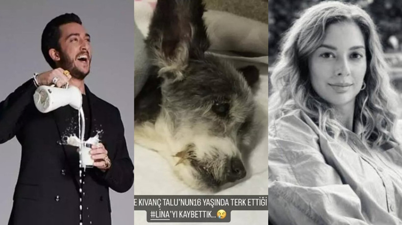 Onlarca kişiyi dolandırıp yurtdışına kaçtılar! Kıvanç Talu ve Beril Talu'nun geride bıraktıkları köpekleri Lina öldü