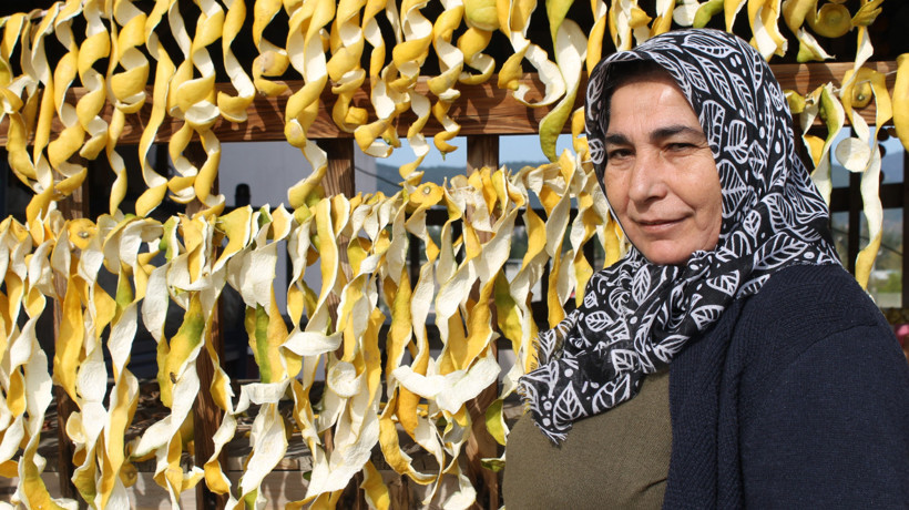 Dalında kuruşla ipte lirayla! Kadın girişimci herkesin dereye döktüğü limonda çareyi buldu