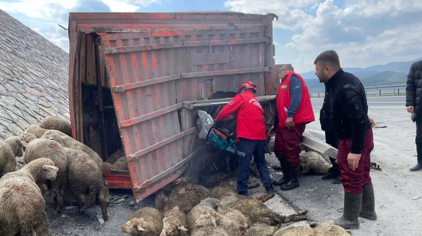 Balıkesir'de korkunç olay: Karı-kocayı ölüm ayırdı! 52 koyun da telef oldu