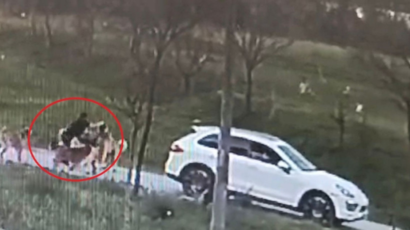 Bursa'da oğlu için köpeklere kendini feda eden babaya 30 dikiş atıldı