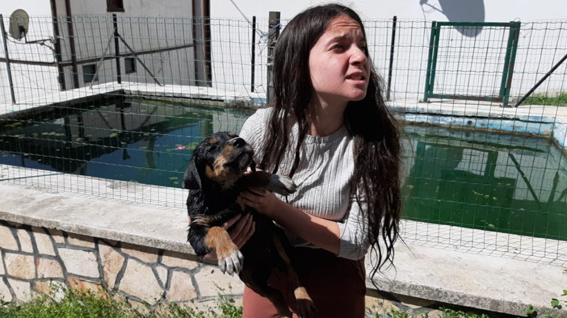 Boğulmak üzere olan yavru köpeği vatandaşlar kurtardı