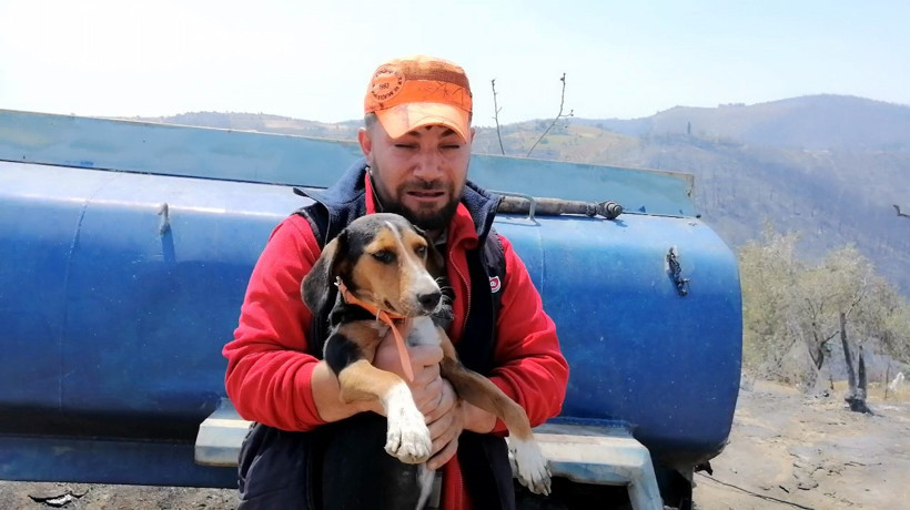 Yangında her şeyini kaybeden vatandaş köpeğine sarılıp ağladı: 2 tavuk 1 horoz bir de köpek kalmış abi gerisi yok