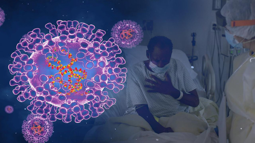 Sağlık Bakanlığı açıkladı: İşte 11 soruda 'Maymun Çiçeği' hastalığı