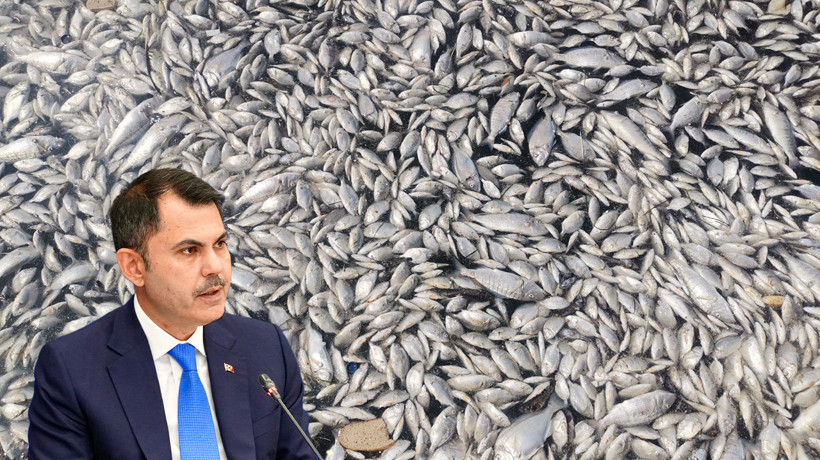 İzmir Körfezi ​​​Acil Eylem Planı! İlk toplantı 17 Eylül'de