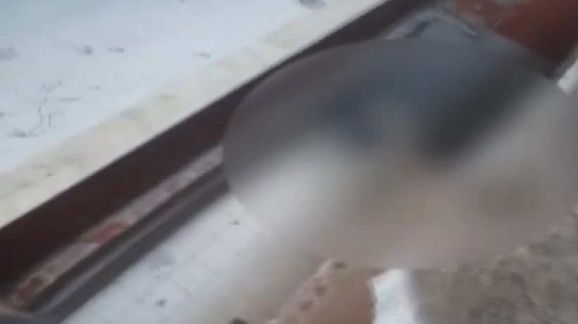 Birlikte yaşadığı kadının evini silahla bastı: 3. kattan atlayan kişi öldü!