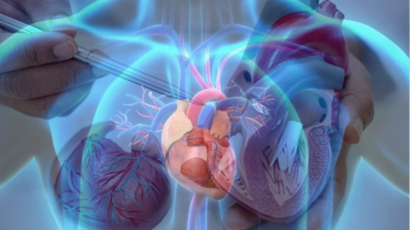 Aort damarı yırtılması nedir, neden olur, belirtileri ne? Kimler risk altında?