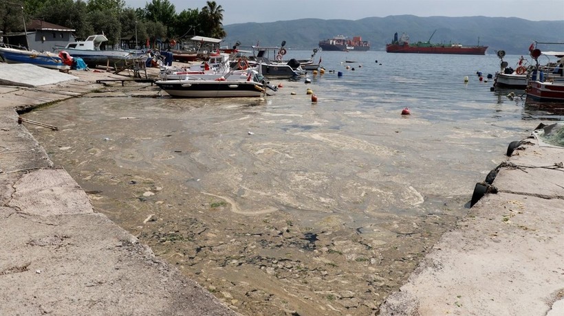 İzmit Körfezi'nde köpüklü tabaka temizliği