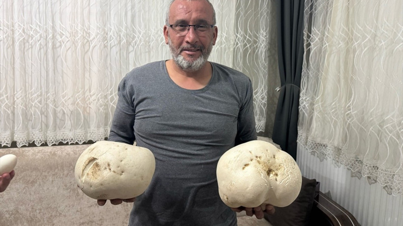 Ispartalı doğasever yürüyüş sırasında iki dev mantar buldu