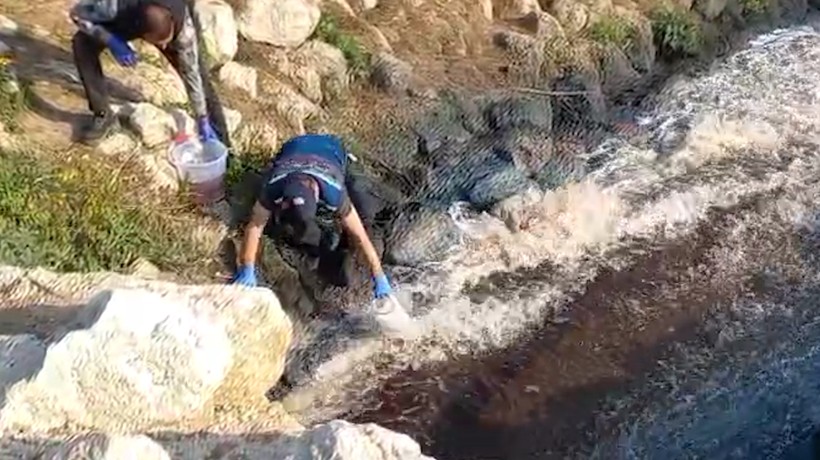 Bakanlık, Ceyhan Nehri’ni kirleten 5’i Büyükşehir Belediyesi’ne ait 11 tesise ceza uyguladı