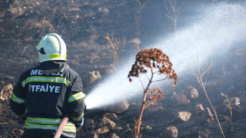 Bodrum’da otluk alanda çıkan yangın 5 dekarlık alanı küle çevirdi