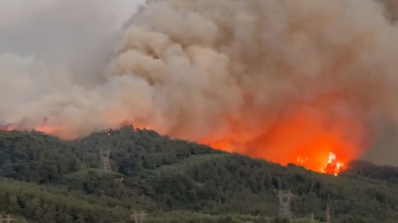 Hatay'daki orman yangınıyla ilgili 1 kişi gözaltına alındı