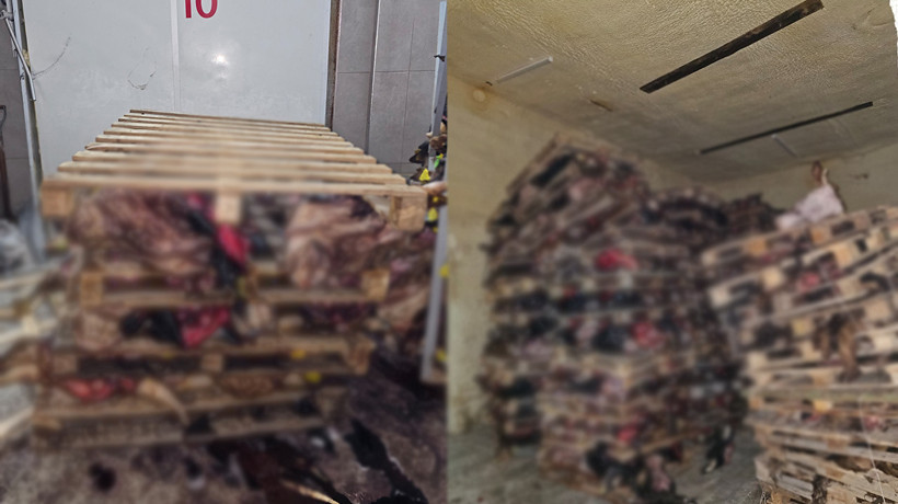 Sakatatçılara satılmak üzere istiflenmiş çürümüş büyükbaş hayvan kafaları bulundu