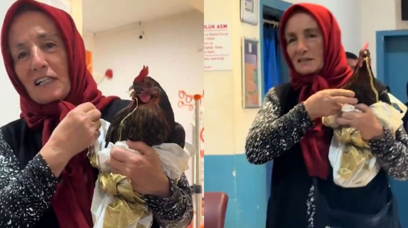 Boğazına iğne kaçan tavuğu için hastanede röntgen talebinde bulundu