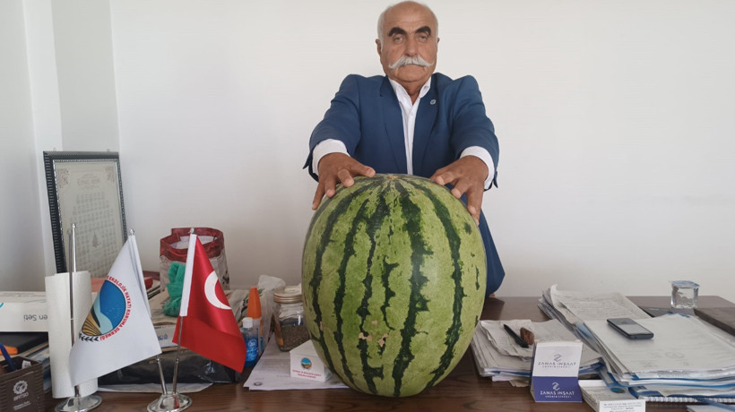 Batman'da 45 kiloluk karpuz dikkat çekti
