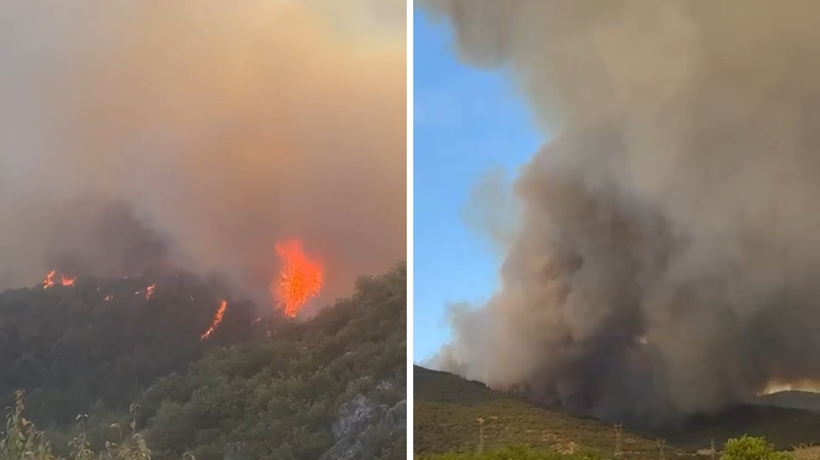 Bursa'da orman yangını