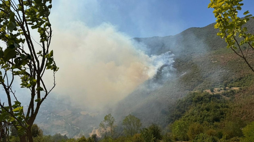 Bartın'da Orman Yangınına Hızla Müdahale Ediliyor