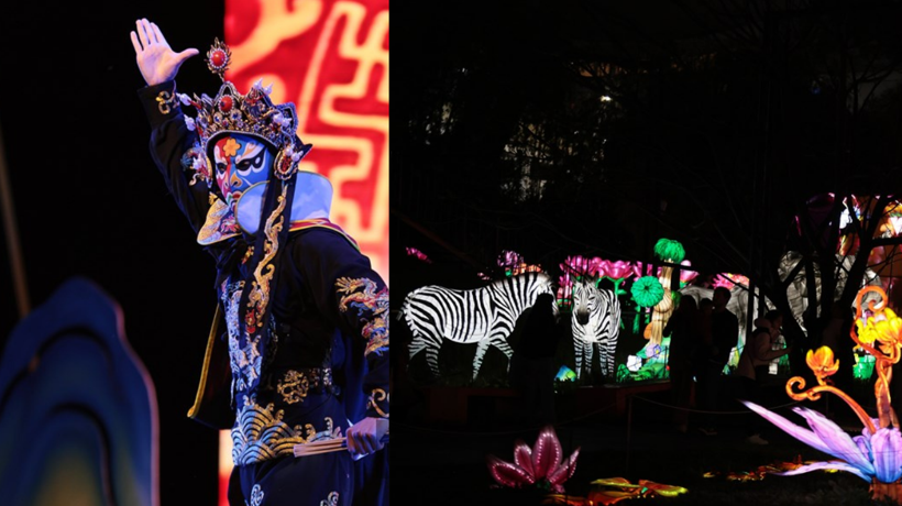 Arjantin'de Uluslararası Çin Işıkları Festivali düzenlendi