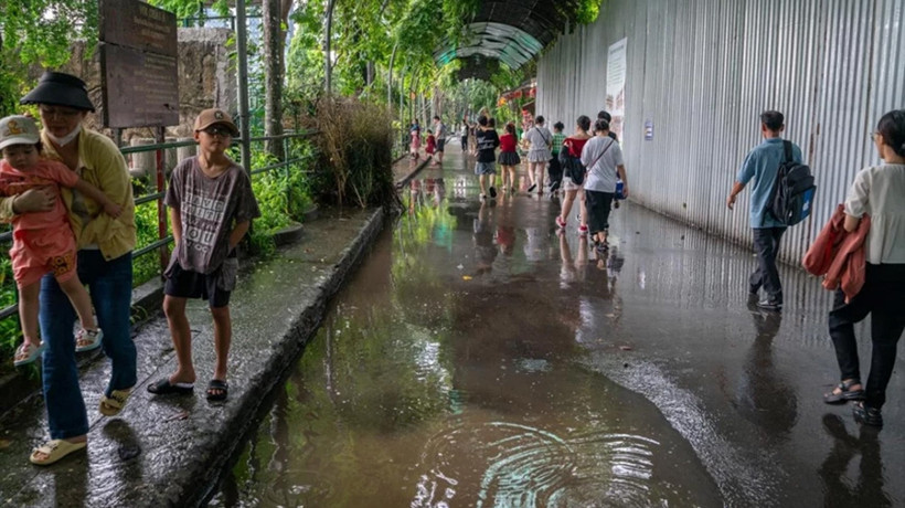 Vietnam'da Bualoi tayfunu felaketi: Can kaybı 19’a yükseldi
