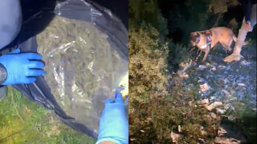 Muğla’da piyasa değeri 4 milyon TL olan uyuşturucu ele geçirildi