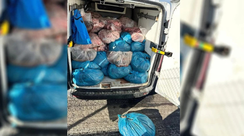 Kaçak sakatat operasyonu: 2 ton ele geçirildi