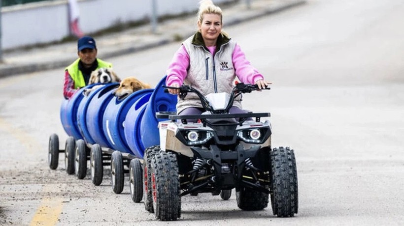 "Köpek velisi" Buket Özgünlü ve 16 kişi için 12 yıl 3'er aya kadar hapis istemi - Resim : 3