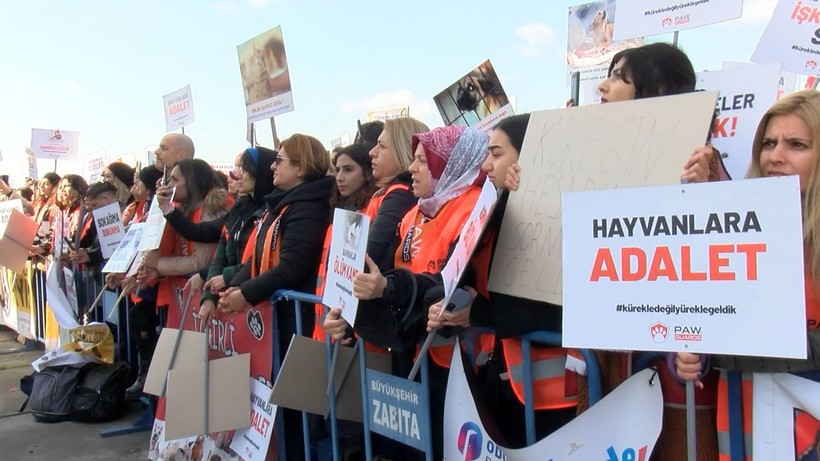 Hayvanseverler Yenikapı'da hayvan hakları mitingi düzenledi! Bir hayvanseverin köpek olması çok konuşuldu - Resim: 8