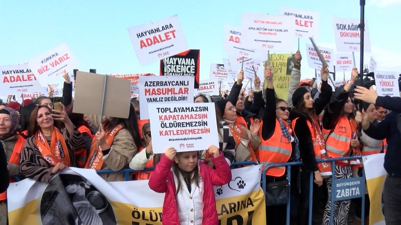 Hayvanseverler Yenikapı'da hayvan hakları mitingi düzenledi! Bir hayvanseverin köpek olması çok konuşuldu - Resim: 11