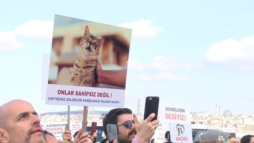 Hayvanseverler Yenikapı'da hayvan hakları mitingi düzenledi! Bir hayvanseverin köpek olması çok konuşuldu - Resim: 9