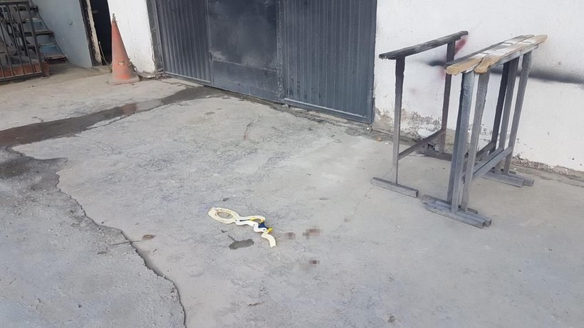 Sakarya Sapanca'da 13 yaşındaki Muhammet Enes, ayakkabısını alıp kaçan köpeğin peşinden bisikletle giderken duvara çarpıp hayatını kaybetti - Resim: 1