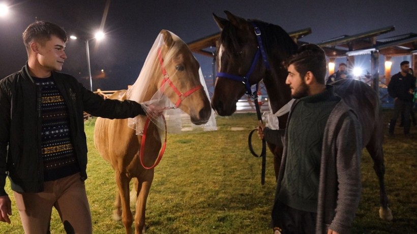 Bu düğünde gelin ve damadı gören şaşıp kalıyor! Önce kına gecesi, sonra davullu zurnalı düğün! Bakın atlara ne taktılar? - Resim: 3