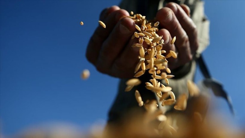 ABD Merkez Bankası'nın sözleri emtia piyasasını karıştırdı: Gümüş, brent petrol, buğday ve mısırda son durum... - Resim: 3