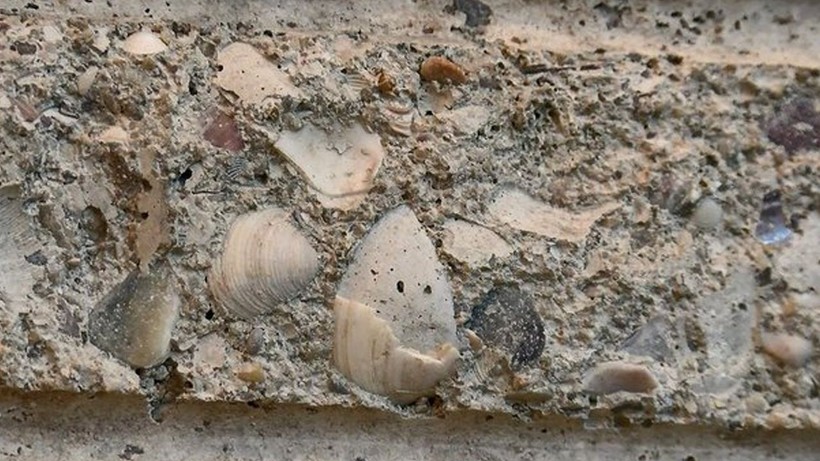 Deprem sonrası talep yüzde 90 arttı; betonun içinden gazete kupürü, tahta, köpük çıkıyor! - Resim: 7