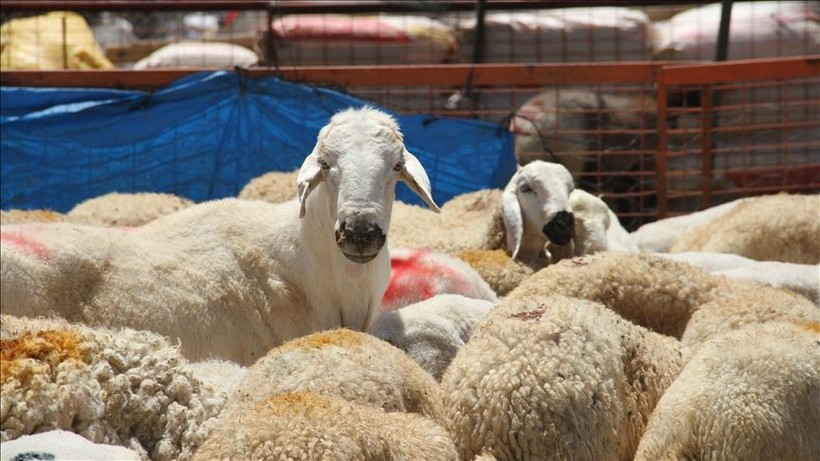 Kurban Bayramı ne zaman, hangi günlere denk geliyor? - Resim: 1
