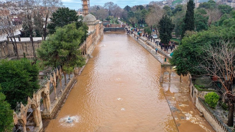 Balıklıgöl'deki balıklara ne oldu? 'Depremde de aynısı olmuştu' diyerek anlattı... Meğer oraya saklanıyorlarmış - Resim: 3