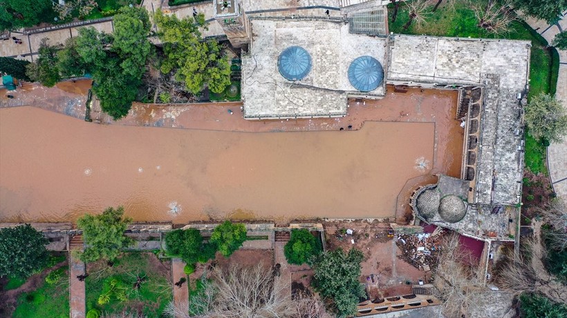 Balıklıgöl'deki balıklara ne oldu? 'Depremde de aynısı olmuştu' diyerek anlattı... Meğer oraya saklanıyorlarmış - Resim: 8