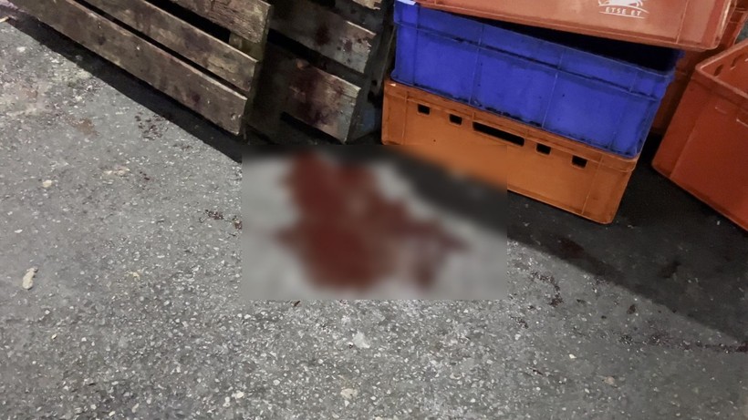 İstanbul'daki et halinde hijyen tartışması - Resim: 6