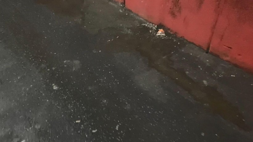 İstanbul'daki et halinde hijyen tartışması - Resim: 2