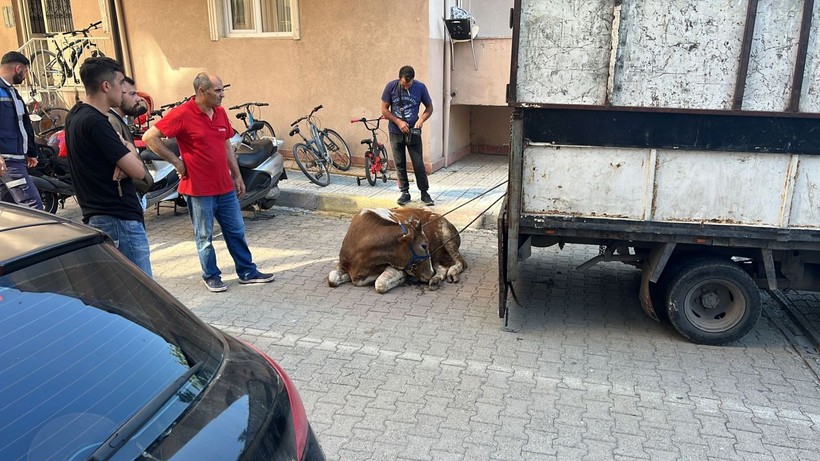 Türkiye'nin dört bir yanından kaçan kurbanların manzarası: İşte o anlar - Resim: 5