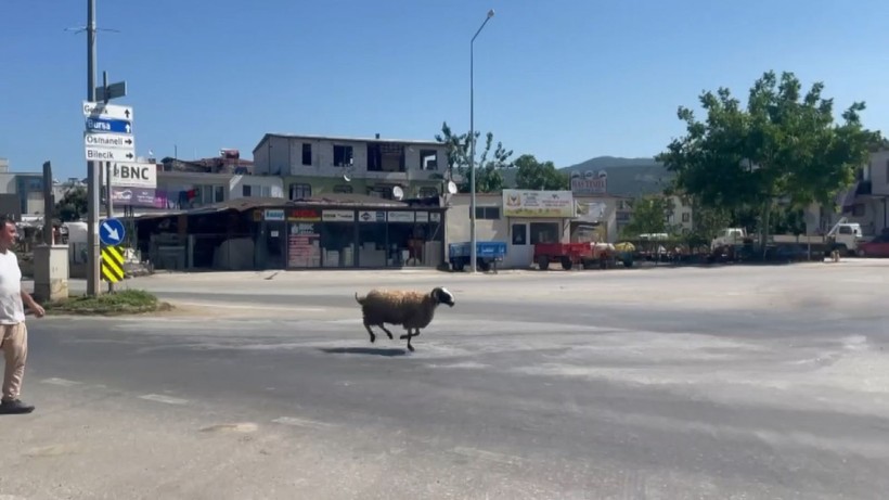 Türkiye'nin dört bir yanından kaçan kurbanların manzarası: İşte o anlar - Resim: 6