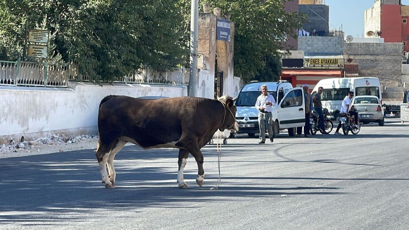 Türkiye'nin dört bir yanından kaçan kurbanların manzarası: İşte o anlar - Resim: 4